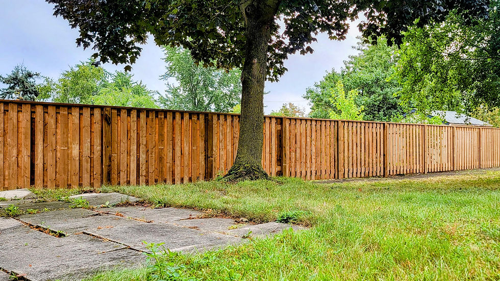 20230907_111409-EDIT-EDIT.jpg