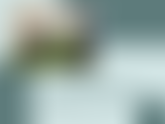 Free Chiropractic Consultations