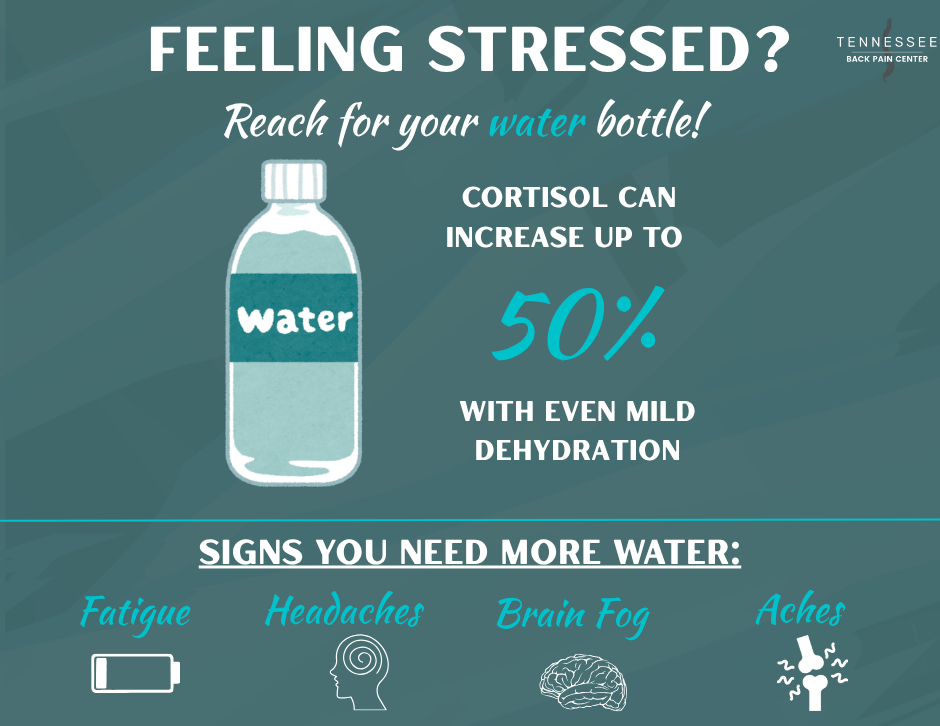 Dehydration Can Increase Stress