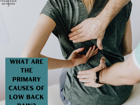 What are the most common causes of low back pain?