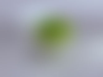 カエル入荷と販売の❤️ྀི💚ྀི