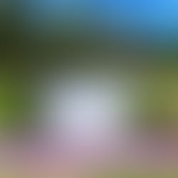 [Video] Manu'a High School "Not All Scars are Visible" PSA!