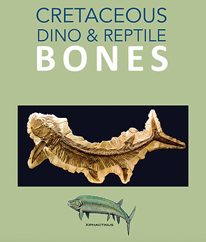 Screen Shot 2023-06-10 at 3.08.40 PM.png