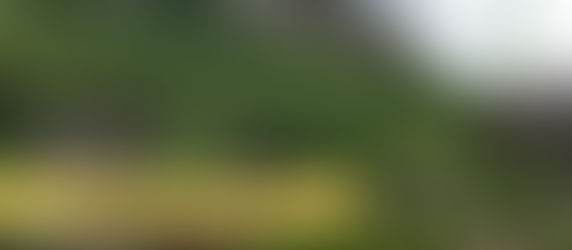 لماذا يحب العرب مدينة طرابزون؟