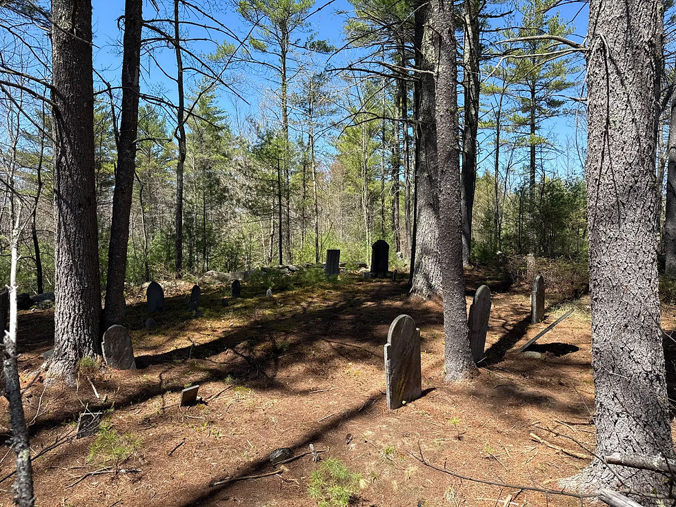Graveyard in forest