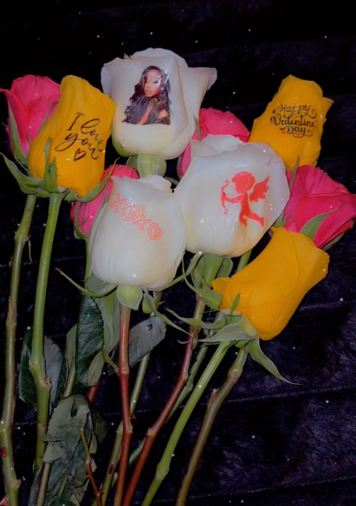 Photo Rose 