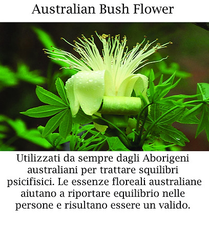 australian ricerca copia.jpg