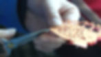 t0176d0e5762e3bea83.jpg