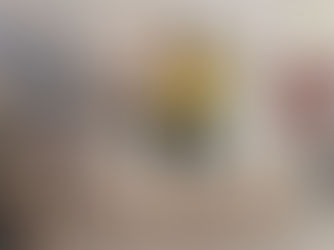 Escolinha Sol recebe brinquedos da Rihappy RioMar Fortaleza