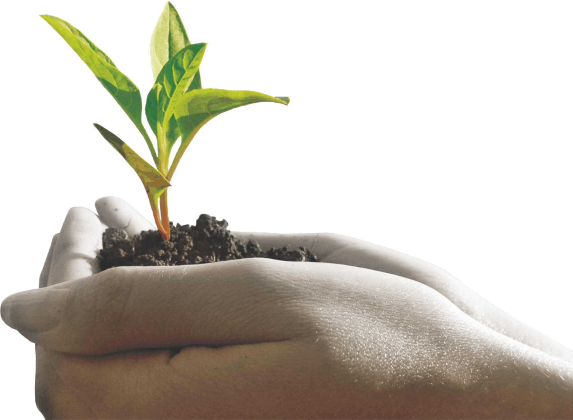 for clean and green energy