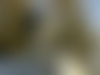 Sistema Detecta está em todas as entradas e saídas da cidade