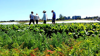 KPU Farm workers on the field_edited.jpg