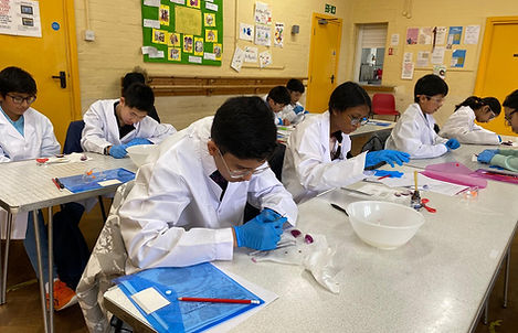 WhatsApp Image 2026-08-14 at 21.08.36.jpeg