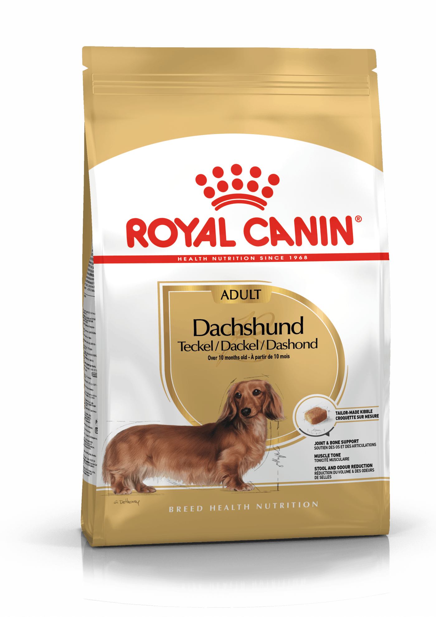 BHN Dachshund Adult