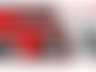 OFFICIAL LAUNCH OF THE WEBSITE