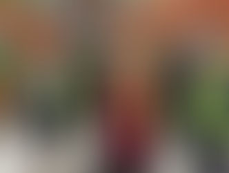 STREET CLEANSING - BY RESIDENTS