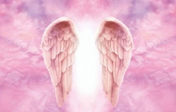 angel.jpg