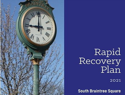 Meredith Boericke Recovery Plan