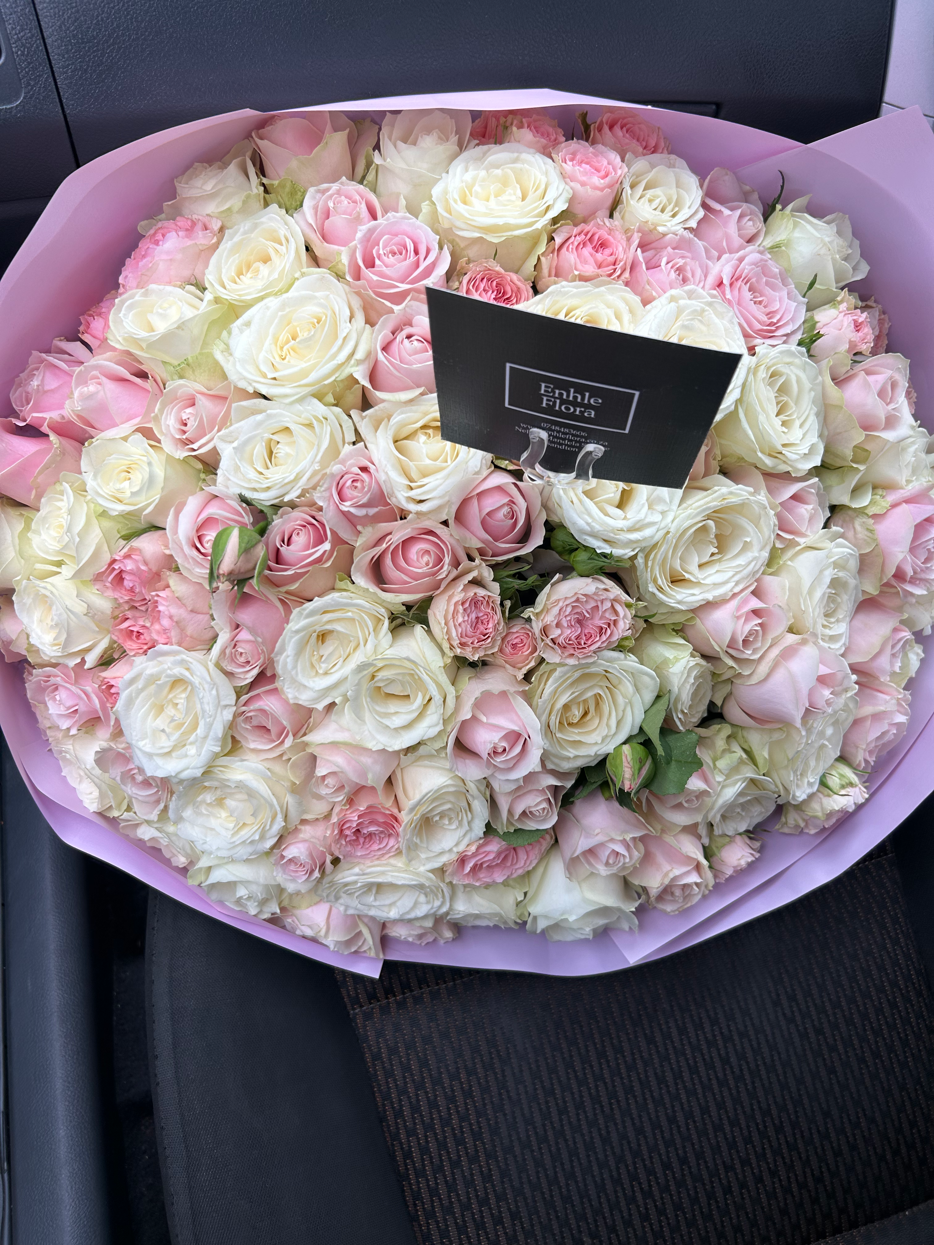100 dreamy roses
