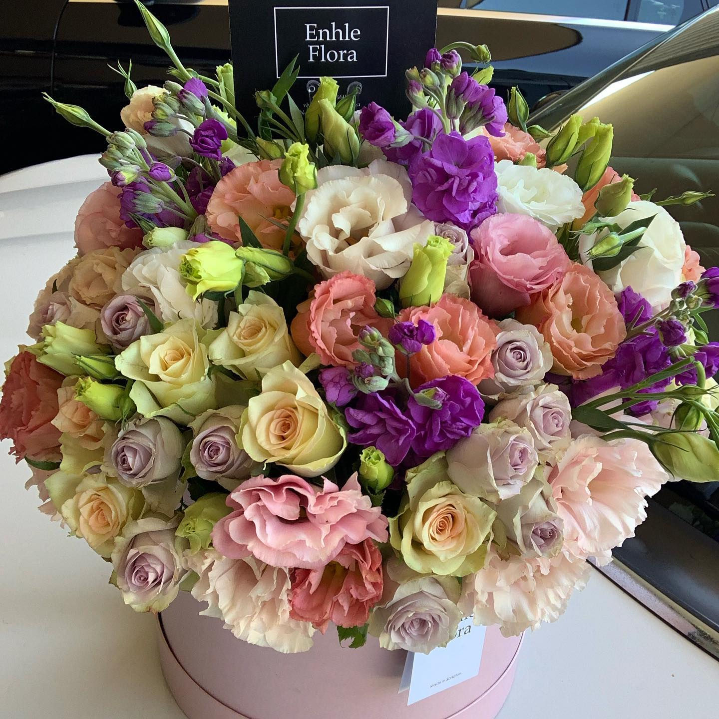 Large coral surprise 