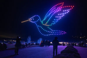 Drone light show bird formation in night sky