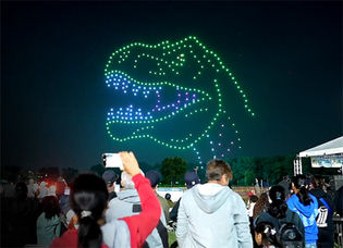 Drone Light Show Dinosaur Formation