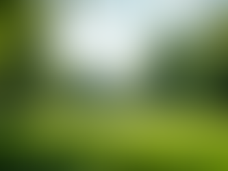 Uncovering the Democratic Party Principles: Exploring Failures and Charting the Path Forward with Enthusiasm