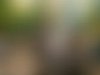 İstanbul Kendin Pişir Kendin Ye Fiyatları ve Mimoza Park: Doğa İçinde Lezzet Rehberi!