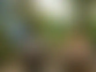 Polonezköy Mangal Mekanları: Doğanın Kalbinde Barbekü Keyfi
