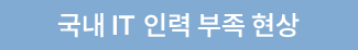 해외 IT 아웃소싱