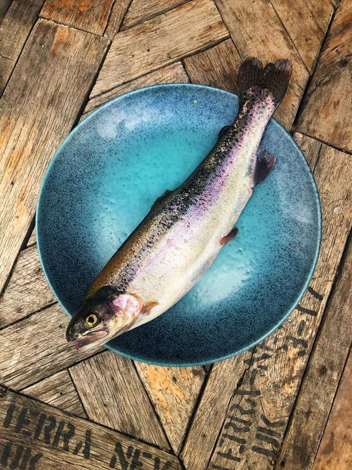 photo 10-05-2021, 12 45 09.jpg