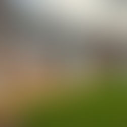 Exterior Renovation & Render Works