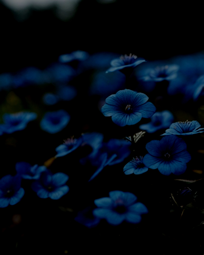 ce06510fd42b6259d7763c42dea7d556_edited_edited.jpg