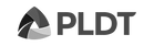 PLDT_edited.png