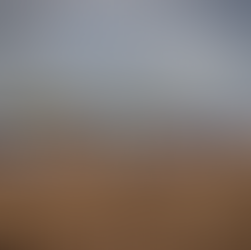 FIM JUNIOR MOTOCROSS DÜNYA ŞAMPİYONASI'NDA TAKIM VE BİREYSEL ALTIN ​​MADALYALARLA FRANSA İÇİN SEVİNÇ