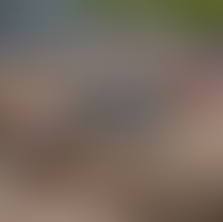 MÜKEMMEL REISULIS, YAĞMURLU LUGO'DA EMX250'DE İSPANYA TURUNA HAKİM OLDU