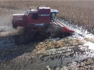 INUNDACIONES EN GENERAL VIAMONTE: ALERTA POR EL AVANCE DEL AGUA Y DEMORAS EN LA EMERGENCIA AGROPECUARIA