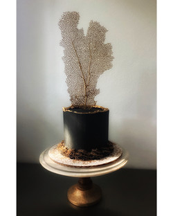 Wedding Cake | Cathy Huber Cakes