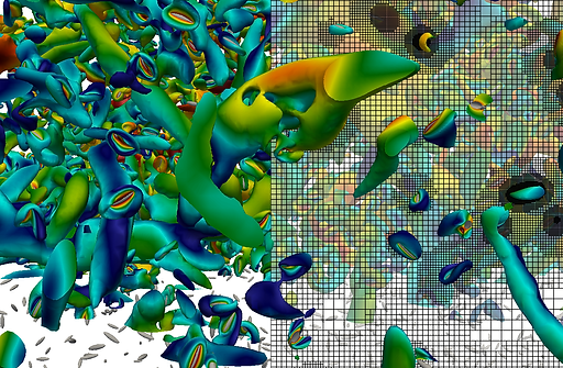 Reference_Code_ZFS_l2_prolate_frame0.png