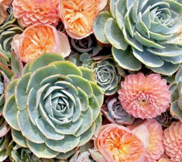 WhatsApp Image 2022-06-20 at 5.21_edited.jpg