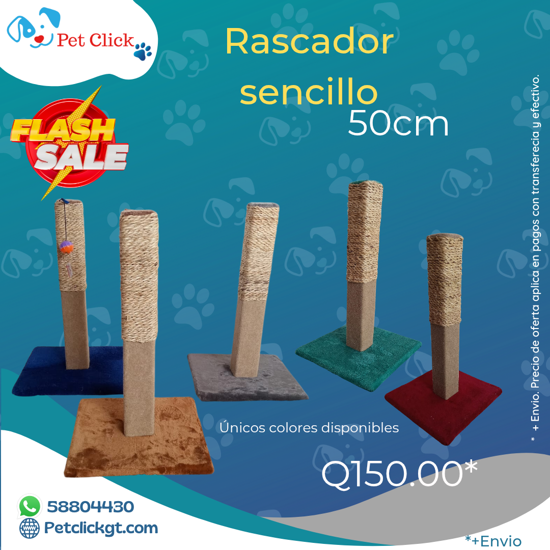 Rascador Sencillo
