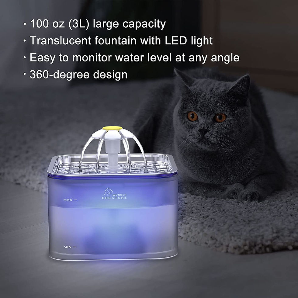 Miniatura: Fuente de agua de Crystal acero inoxidable 3LT