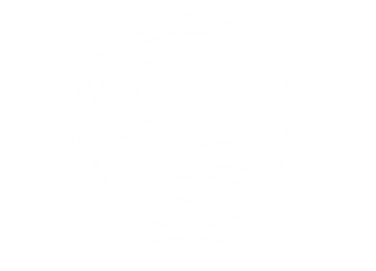 Dark Sky Estates Logo-17.png