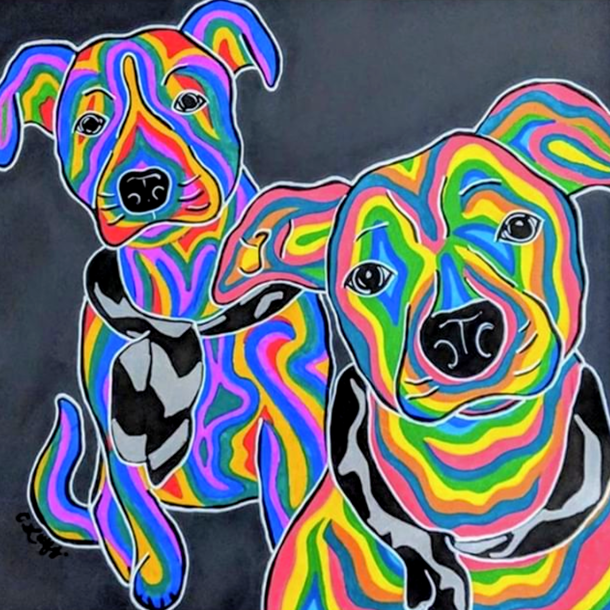 Pitbull Love