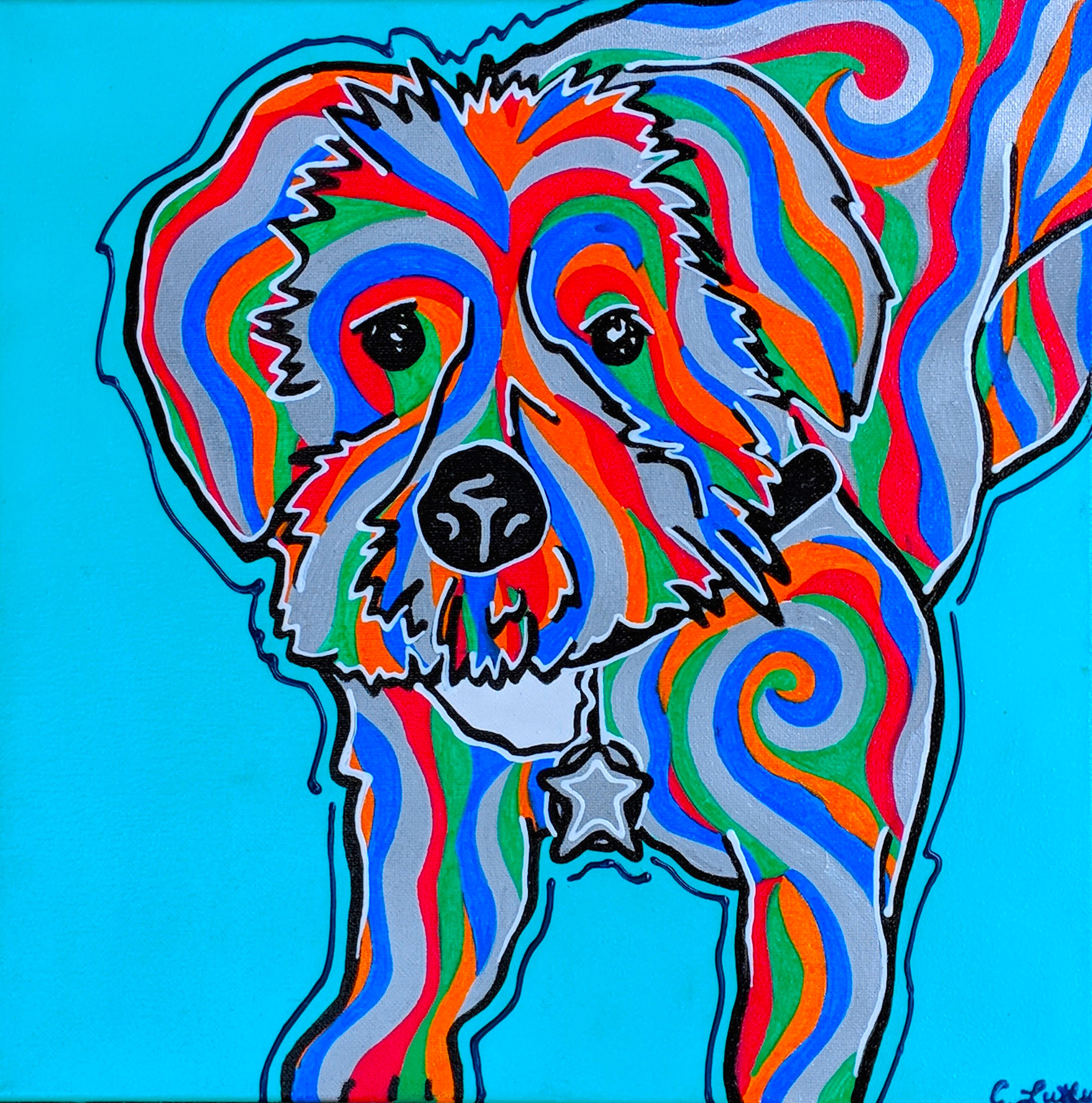 dog10.jpg