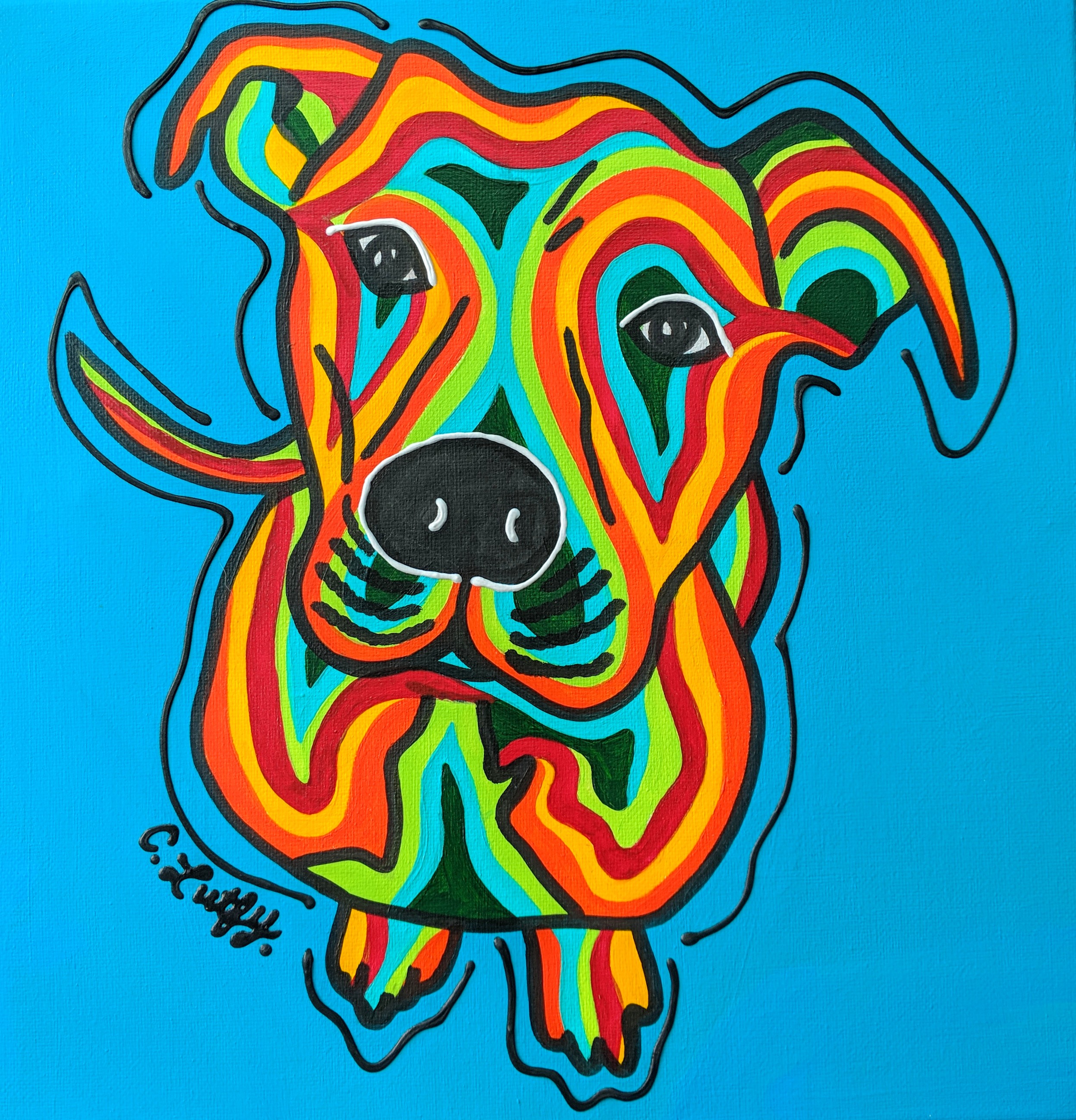 dog4.jpg