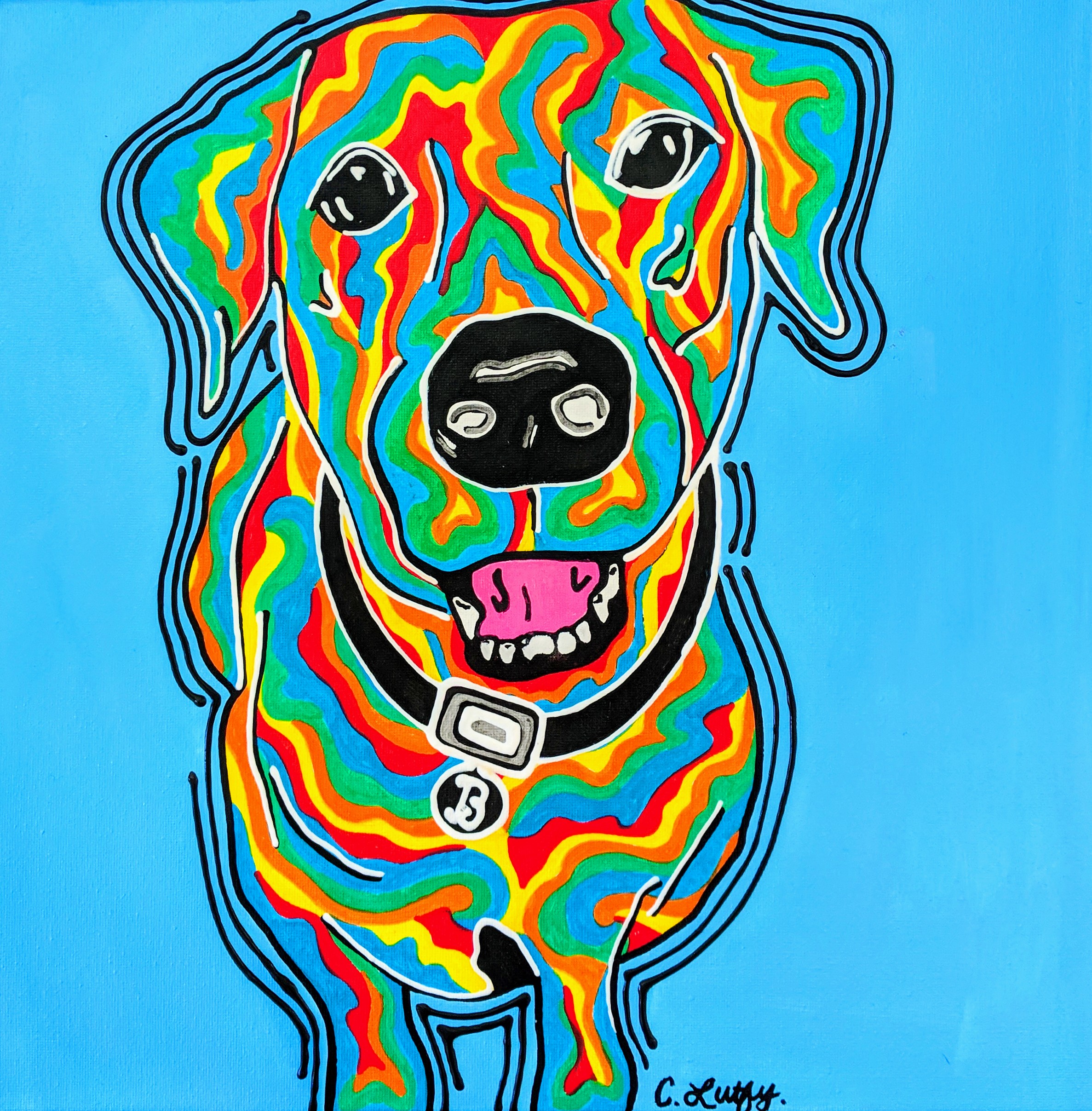Phunky Lab