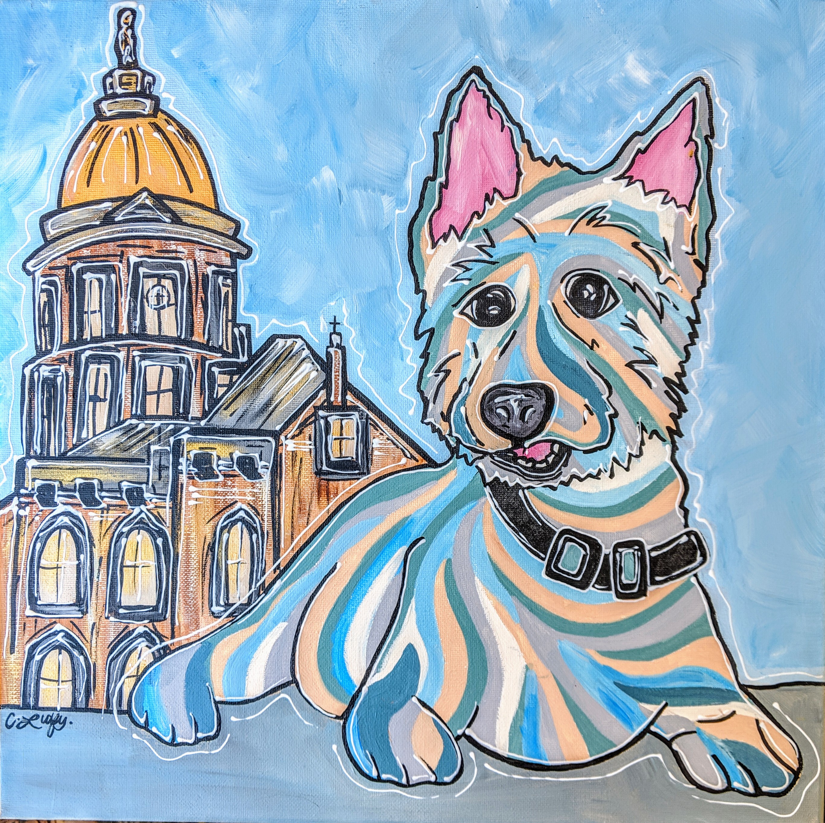 Notre Dame Loving Yorkie