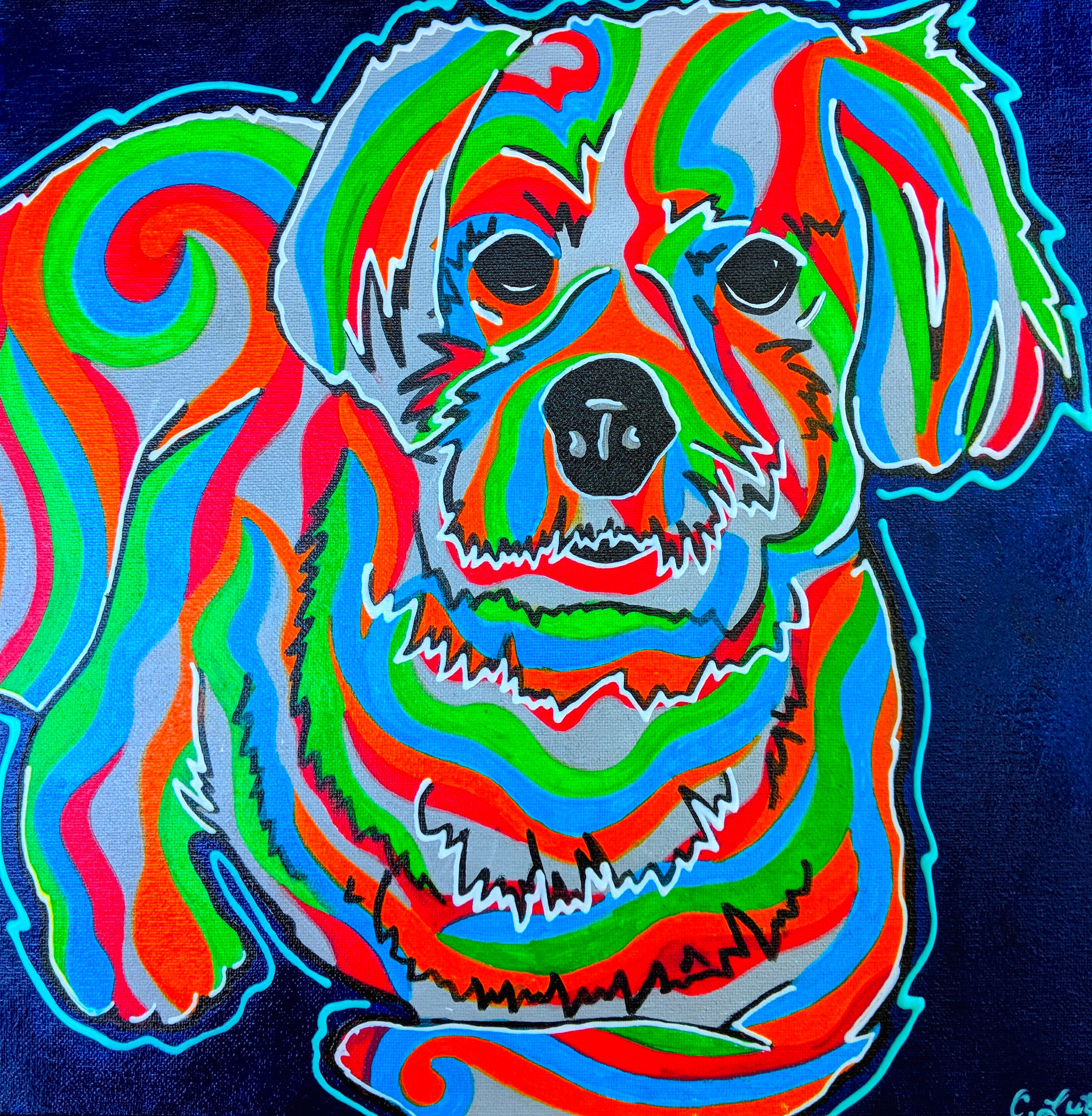 dog9.jpg