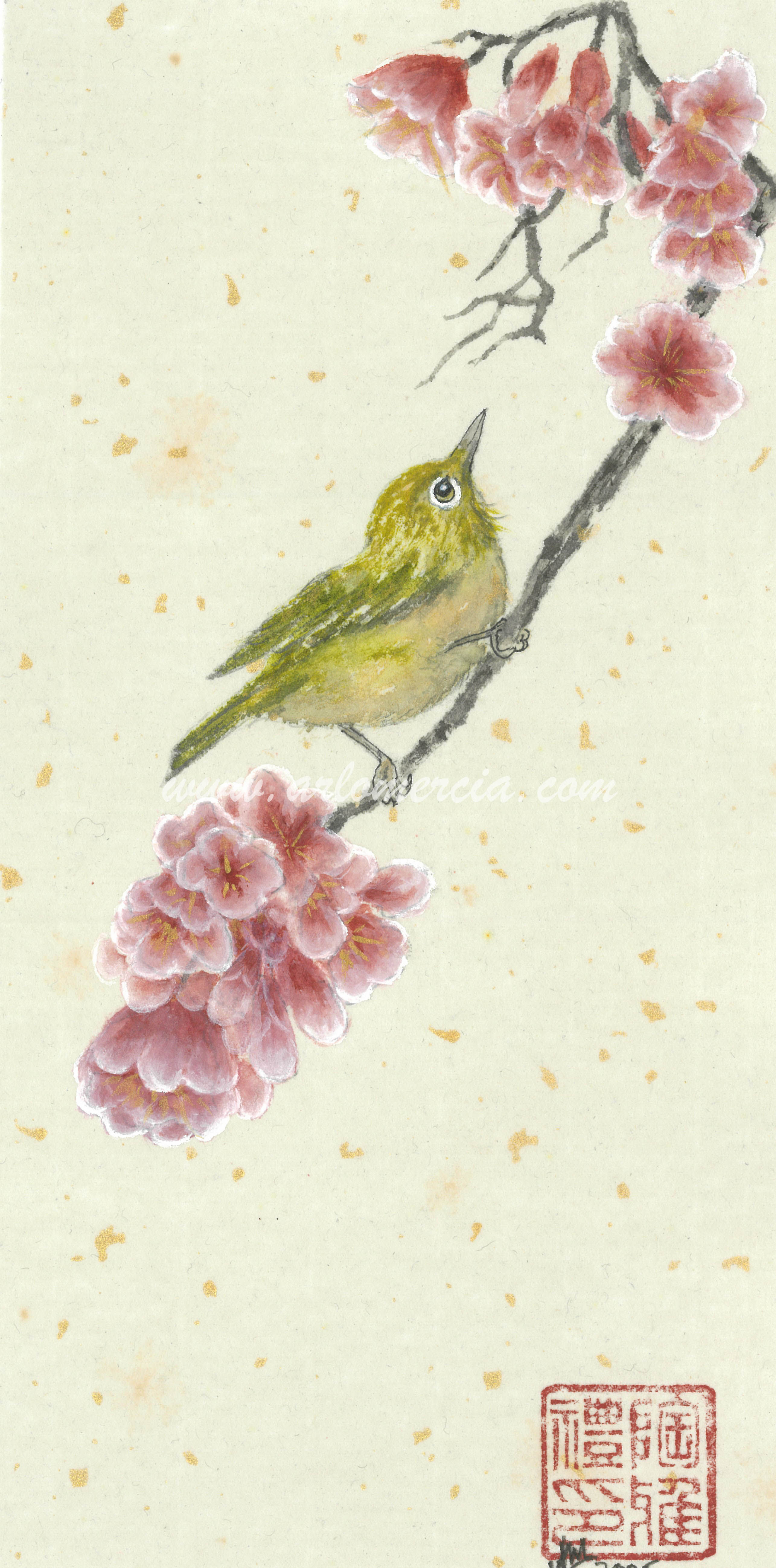 Silvereye & Plum Blossom